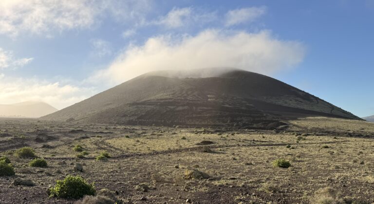 Nauka, która przyciąga uwagę